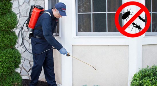 Gülşehir Dezenfeksiyon böcek ilaçlama ve haşere kontrolü — ilaclama-tr.com